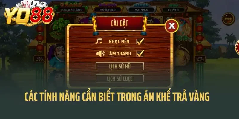 Các tính năng cần biết trong ăn khế trả vàng