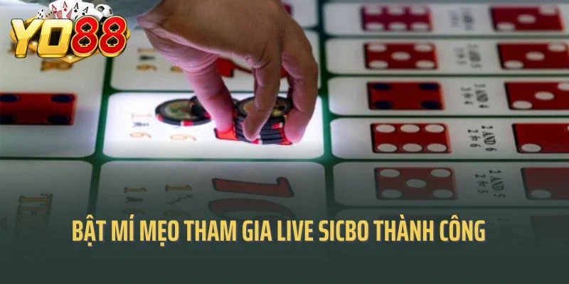 Bật mí một số mẹo tham gia phiên live sicbo gặt hái nhiều thành công